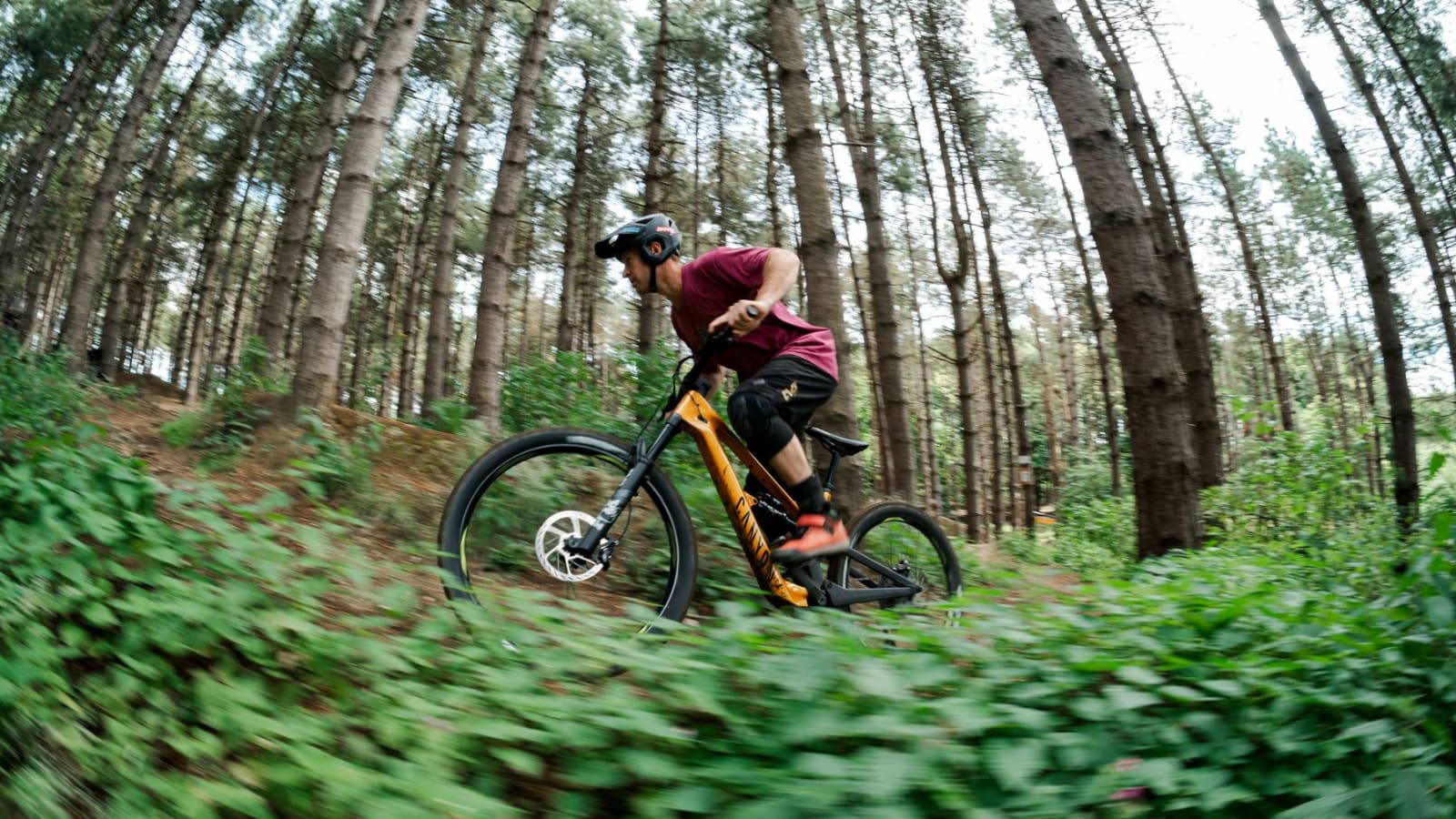 Friday Evening Ride-Out – Peaslake