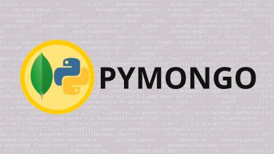 Python & Mongodb