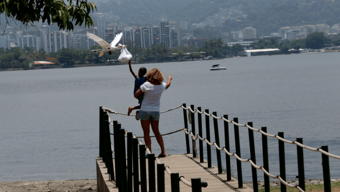 BABY DOVE - Cegonha Drone 4