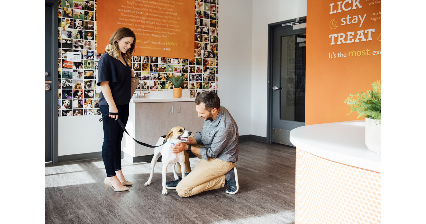 Dogtopia Franchise Reviews Dog Day Care Franchise Opportunities