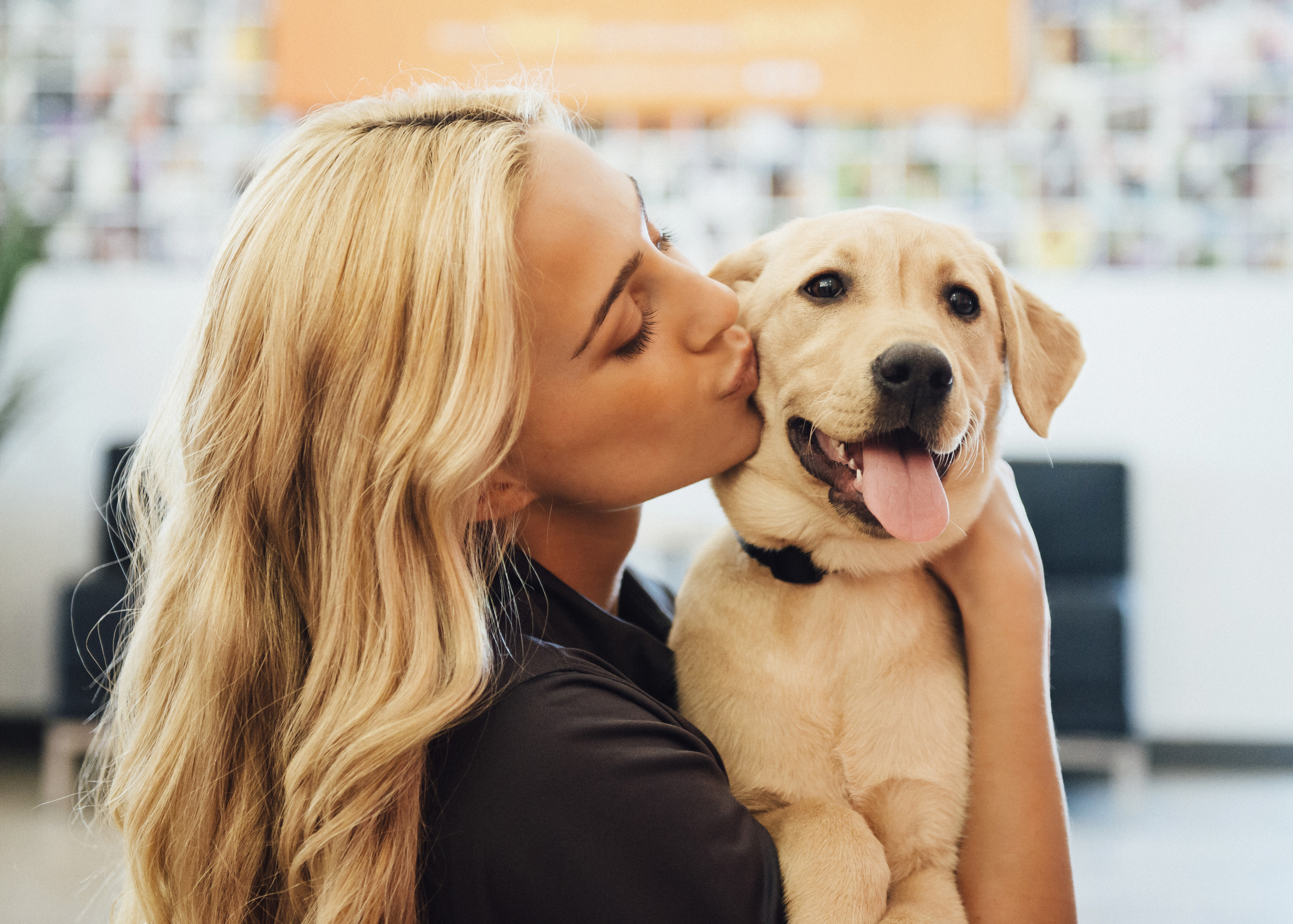 Best Animal Franchise | Pet Care Franchise Business | Animal Lovers Best Animal Franchise | Pet Care Franchise Business | Animal Lovers