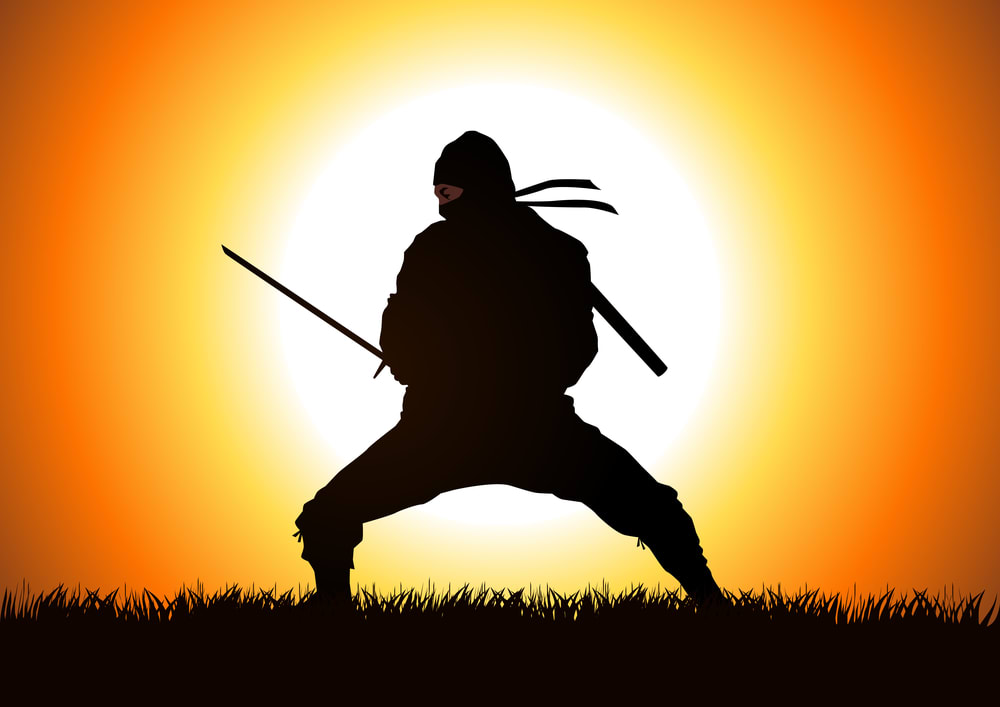 depositphotos_ninja ninja silhouette in front of susnset