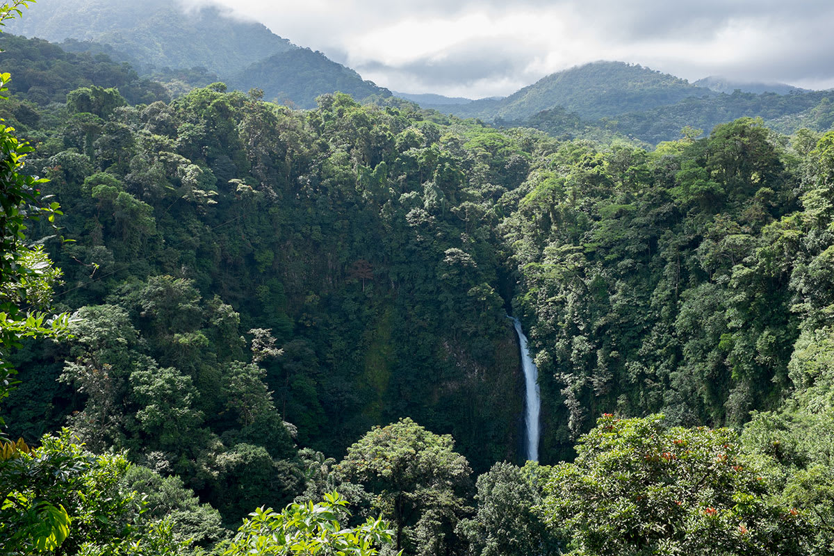 Monteverde