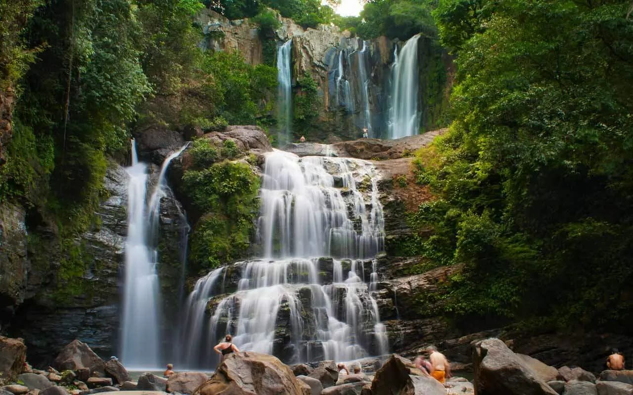 Puerto Limón Shore Excursion: Cahuita National Park Tropical Wildlife & Rainforest Waterfall