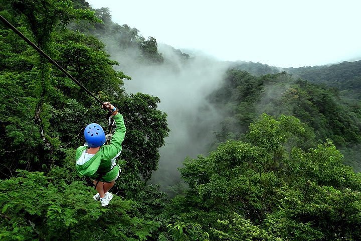 Puerto Limón Shore Excursion & Rainforest Adventure. Zipline Canopy, Tortuguero Wildlife Boat Tout & Bonita Beach