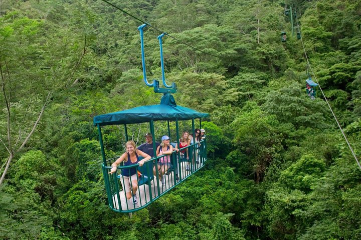 Puerto Limon Shore Excursions: The Rainforest Adventures