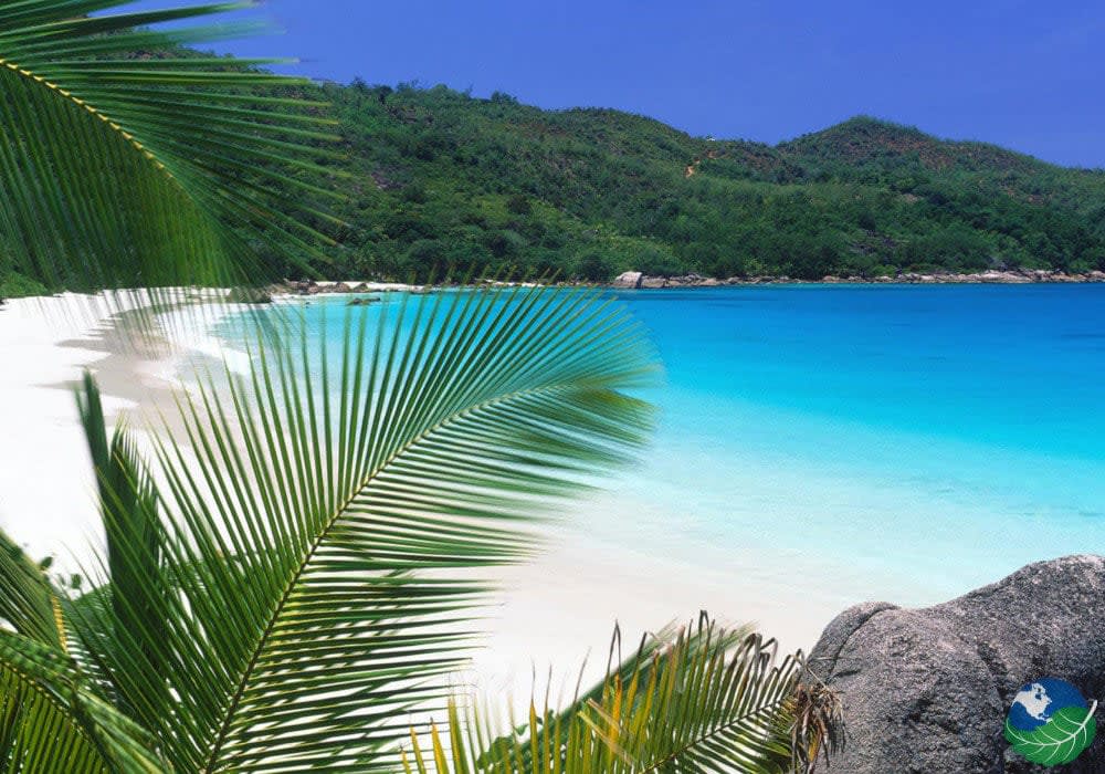 Liberia Airport to Playa del Coco: Inbound/Outbound Private Shuttle $95 up to 4 persons