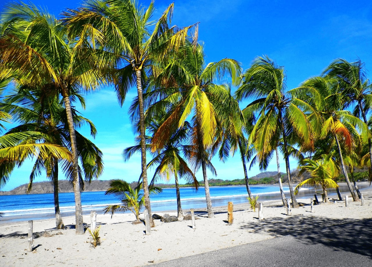 Juan Santamaria Airport/San Jose to Tamarindo & Playas del Coco Beach, Inbound & Outbound Private Shuttle $280