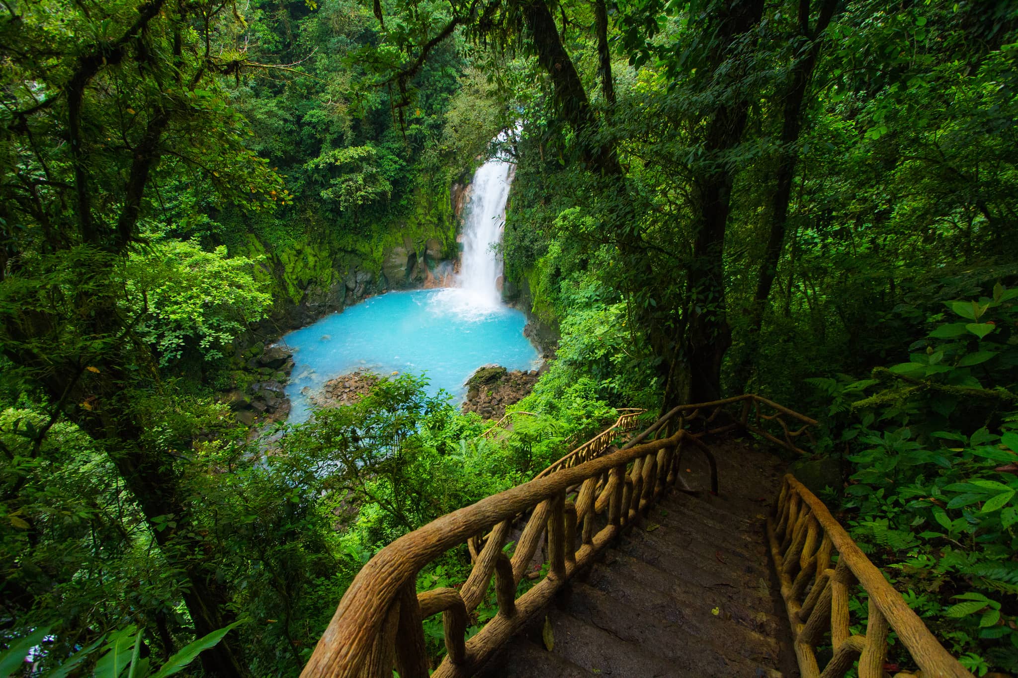 Rio Celeste, Sloth Rescue Center & River Tubing Day Tour $99 pp minimum 4