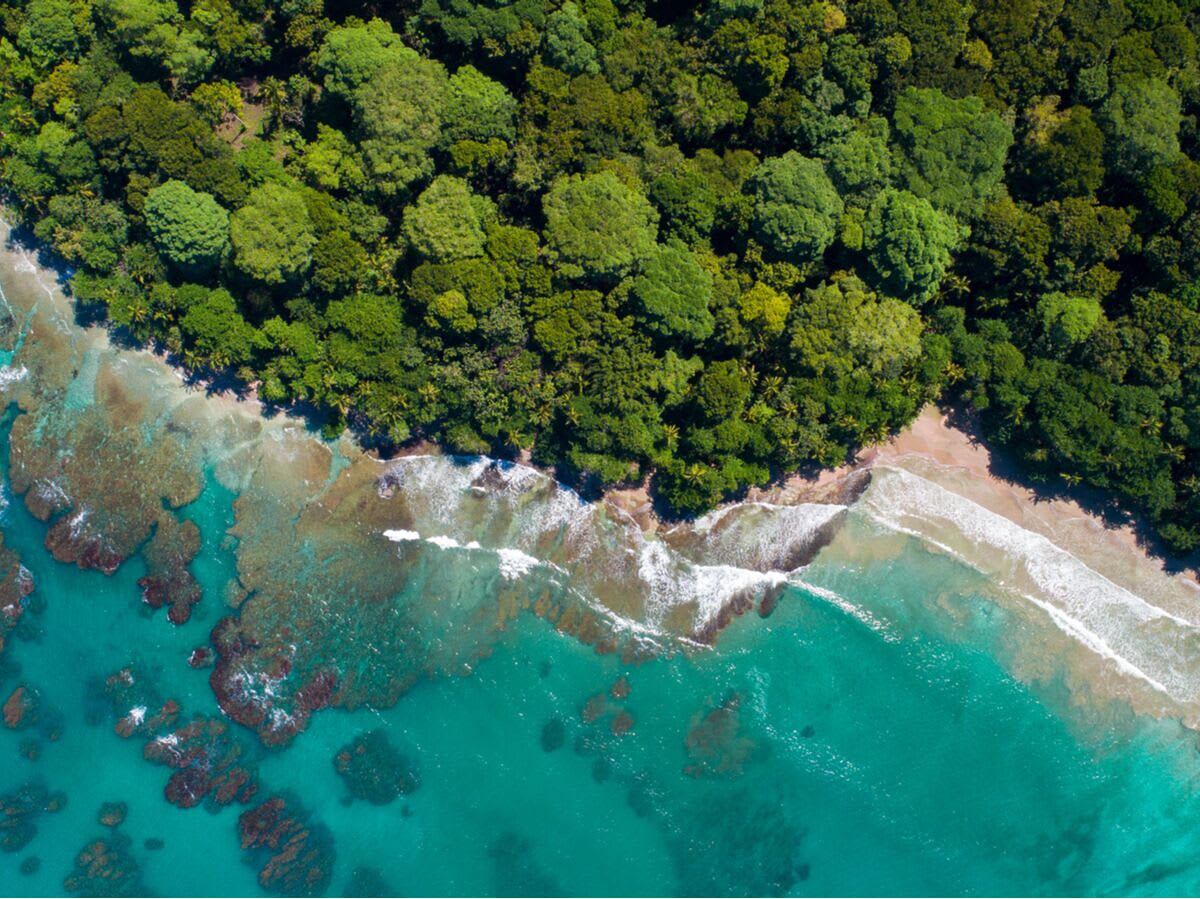 San Jose/Airport to Cahuita/Puerto Viejo, Inbound/Outbound Private Shuttle $280 up to 3 persons