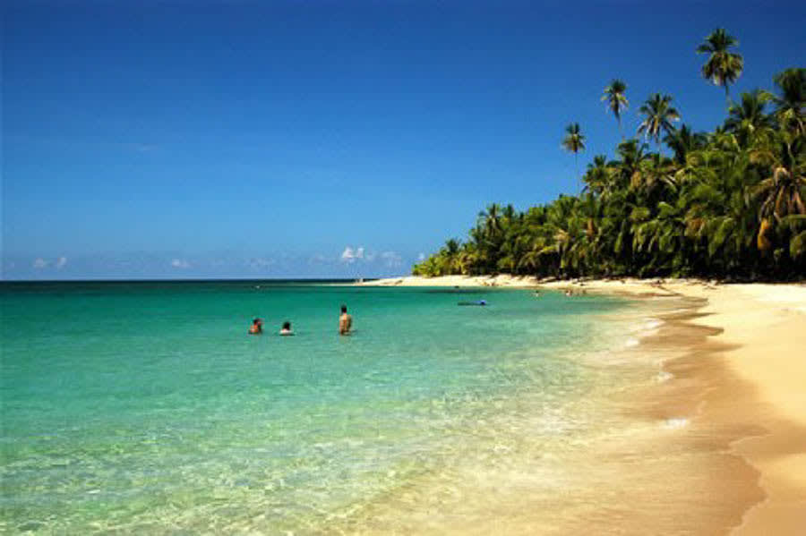 Manuel Antonio Day Tour from San Jose, Alajuela, Heredia $99 pp Minimum 4