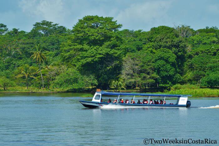Cahuita to Tortuguero National Park - River Boat&nbsp; Shuttle to the “Costa Rica's Amazon''