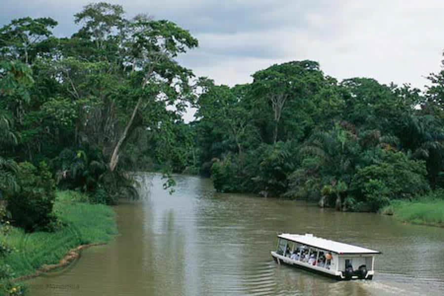 Tortuguero National Park Transfer to/from San Jose Inbound/Outbound