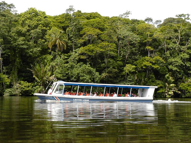 Tortuguero Rainforest Wildlife Safari Boat Tour & Historical Puerto Limón