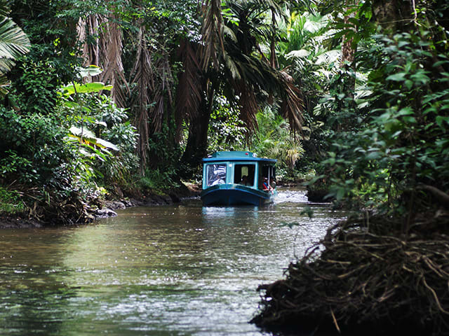 La Fortuna/Arenal NP to/from Tortuguero NP - Boat&nbsp; Shuttle from La Pavona Harbor