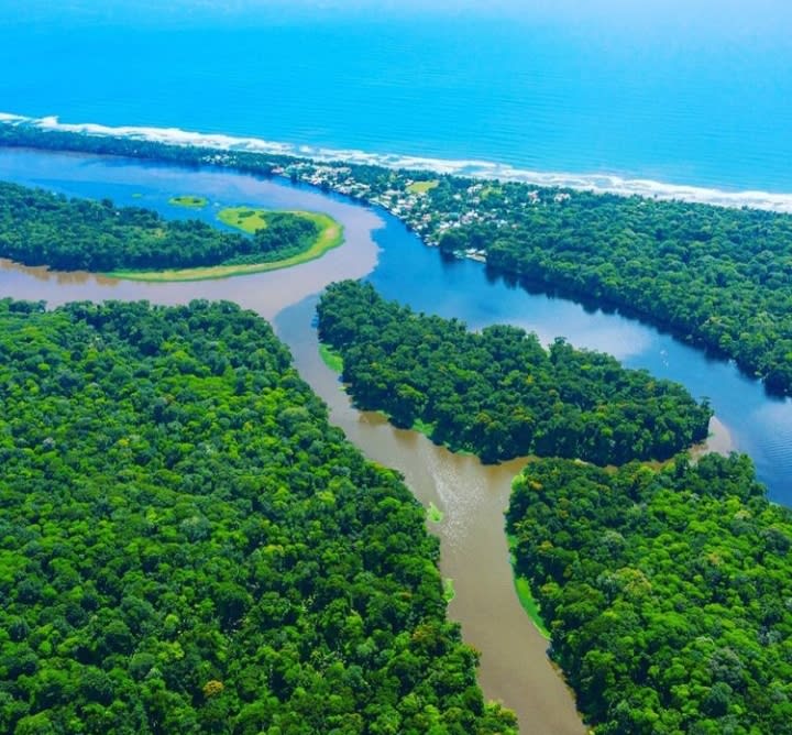 Tortuguero National Park to/from Puerto Viejo - River Boat&nbsp; Shuttle to the “Costa Rica's Amazon”