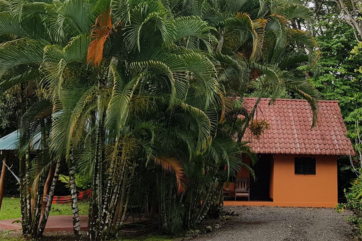 Lodging Right Next to Cahuita National Park Wildlife