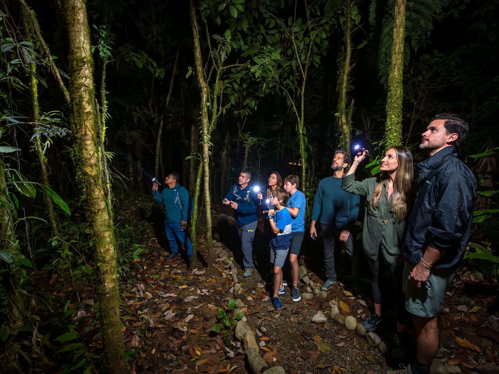Safari Night Wildfife Tour in Cahuita Rain Forest
