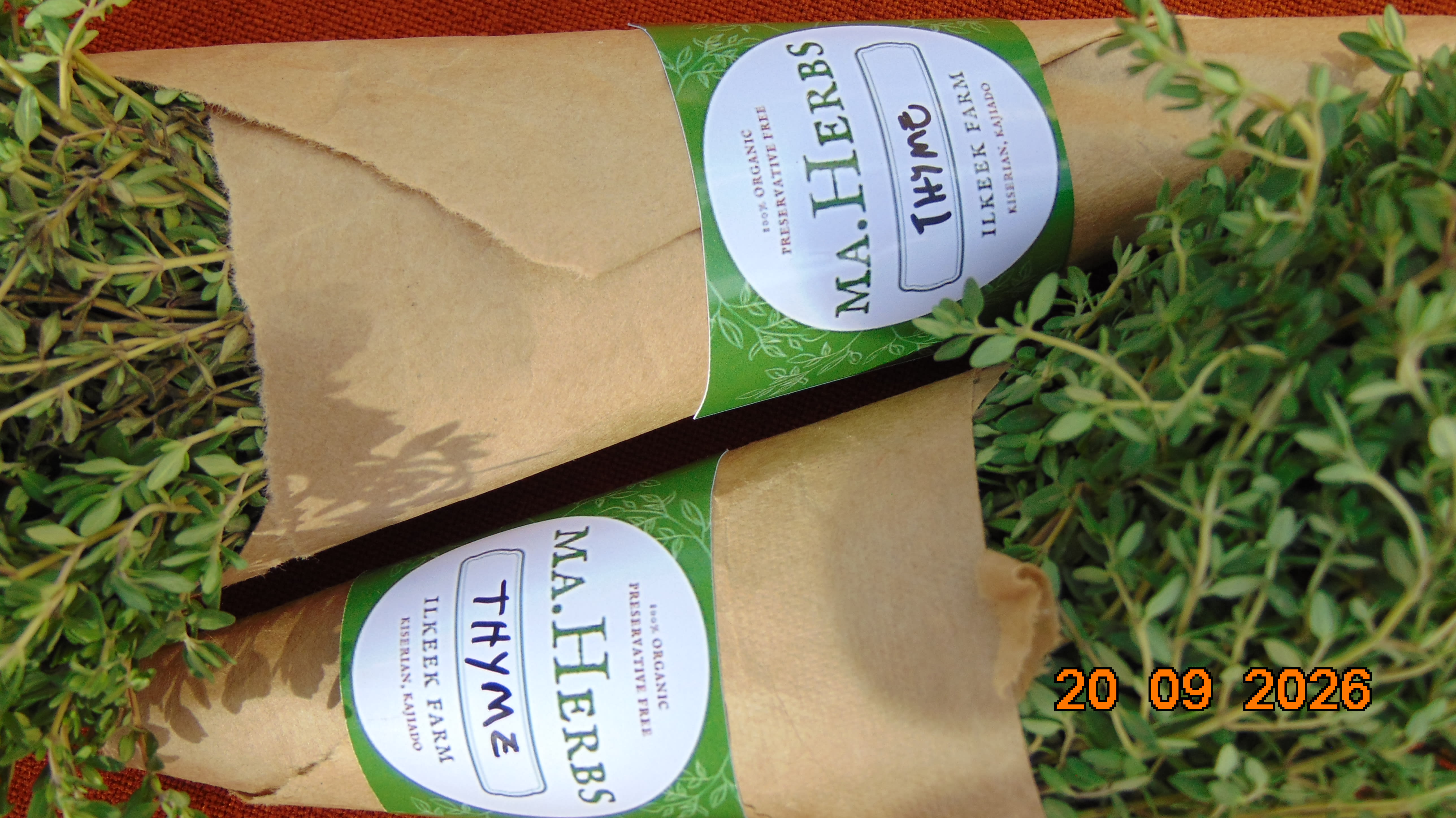 Fresh Thyme Herb