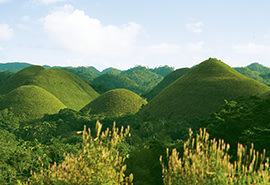 Bohol