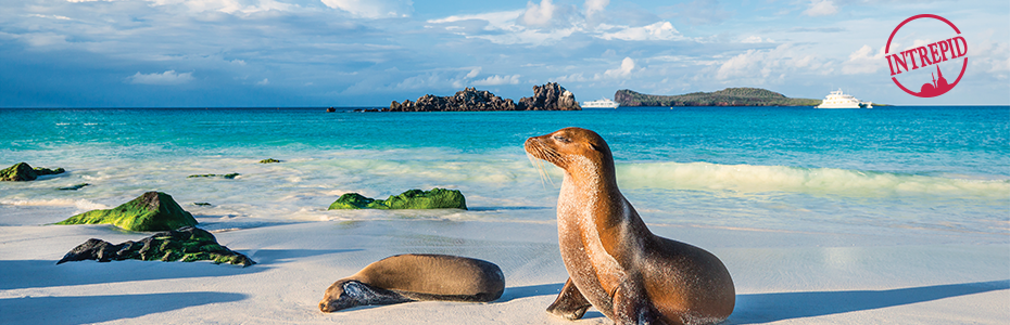 intrepid galapagos banner