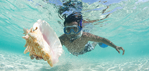Receive up to 5 free*<br>offers on sailings<br>with Norwegian Cruise Line<br><br> Expires Jun 30, 2019