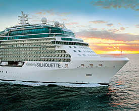 Celebrity Silhouette