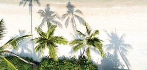 Book with $100* deposit <br>plus 4 other perks<br>with Transat<br><br>Expires February 28, 2019