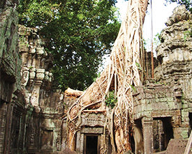 SAIGON TO SIEM REAP<br>9-Day Tour<br>On The Go Tours<br><br>$1866*