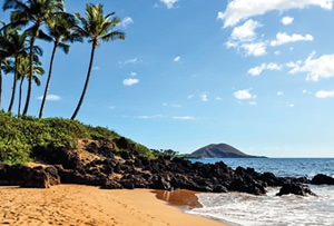 FC escapes destination maui
