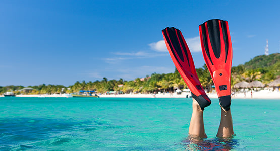 WESTERN CARIBBEAN<br>7-night cruise from $1281*