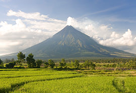 Albay