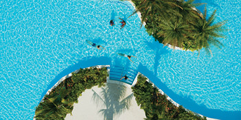 Save 60%*<br>on the second guest<br>with Royal Caribbean<br><br>Expires January 31, 2020