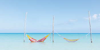 Buy One, Get One 50%* off <br>select sun vacations<br>with Air Canada Vacations<br><br>Expires February 23, 2020