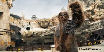 Save 20%* on <br>3-day or longer Disneyland Resort<br>Theme Park tickets<br><br>Expires February 16, 2020