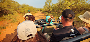 Save 15%* on select<br>Europe tours with G Adventures<br><br> Expires March 31, 2019