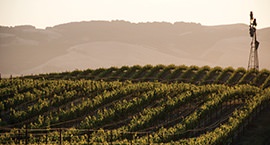 Journey to Wine Country
