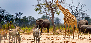 Save up to 20%* on select <br>tours with Topdeck<br><br> Expires May 31, 2019