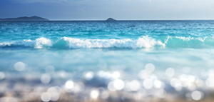 Save up to $500*<br>per family plus more<br> with Air Canada Vacations<br><br>Expires June 30, 2019