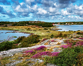 A TASTE OF SCANDINAVIA<br>7-Day Tour<br>Intrepid Travel<br><br>$2349*
