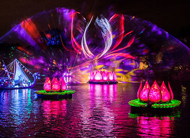 <em>Disney's Animal Kingdom</em> Theme Park