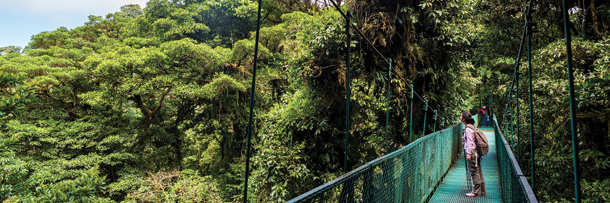 fc lp 1200x400 holidays costarica