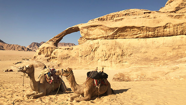 Highlights of Jordan with G Adventures
