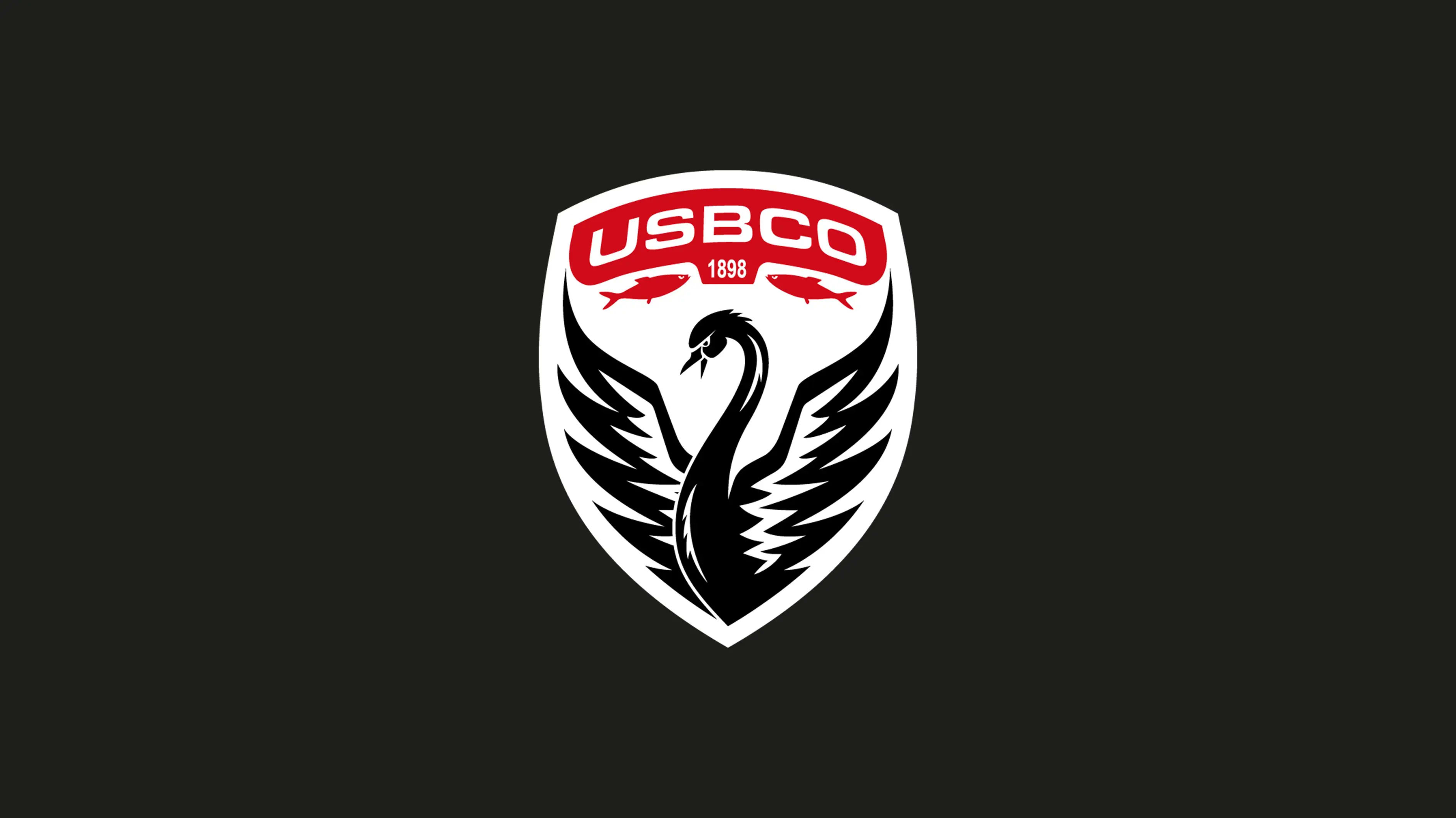 The initial version of the new logo