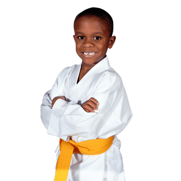 martial arts academy online