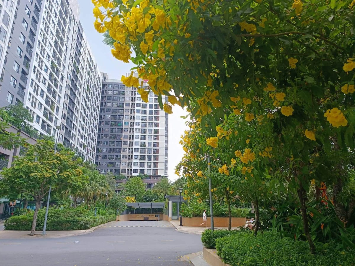 Cho thuê căn hộ Picity Quận 12, 66m² - 10,5 Triệu/Tháng