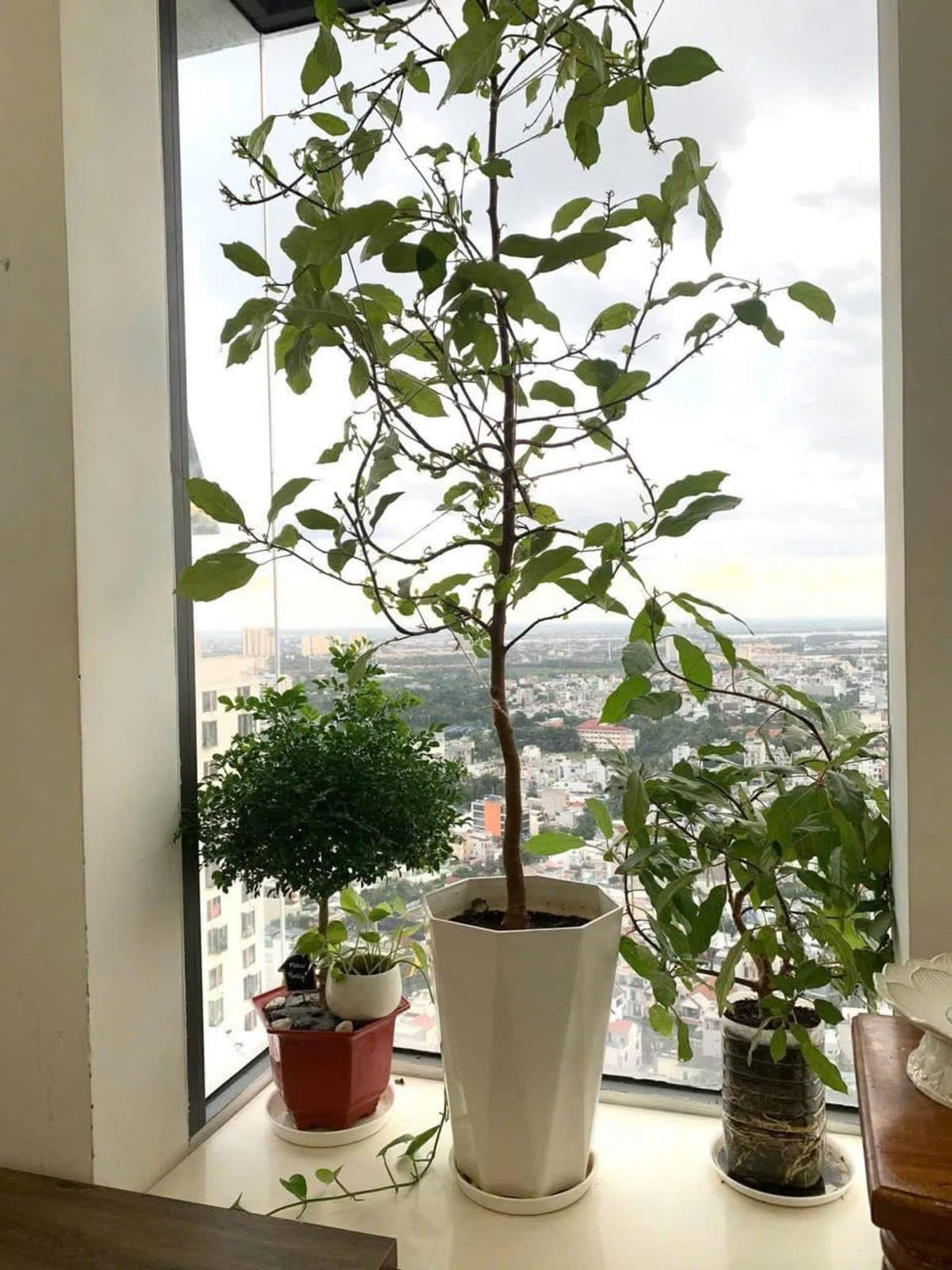 Bán căn hộ La Astoria 2, 2PN, 63m² tại Bình Trưng Tây - 3.6 Tỷ