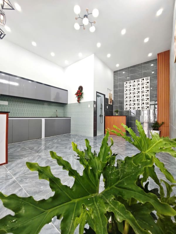 IMG_4645.jpeg
