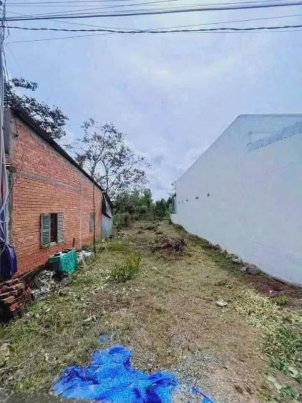 2769.jpg