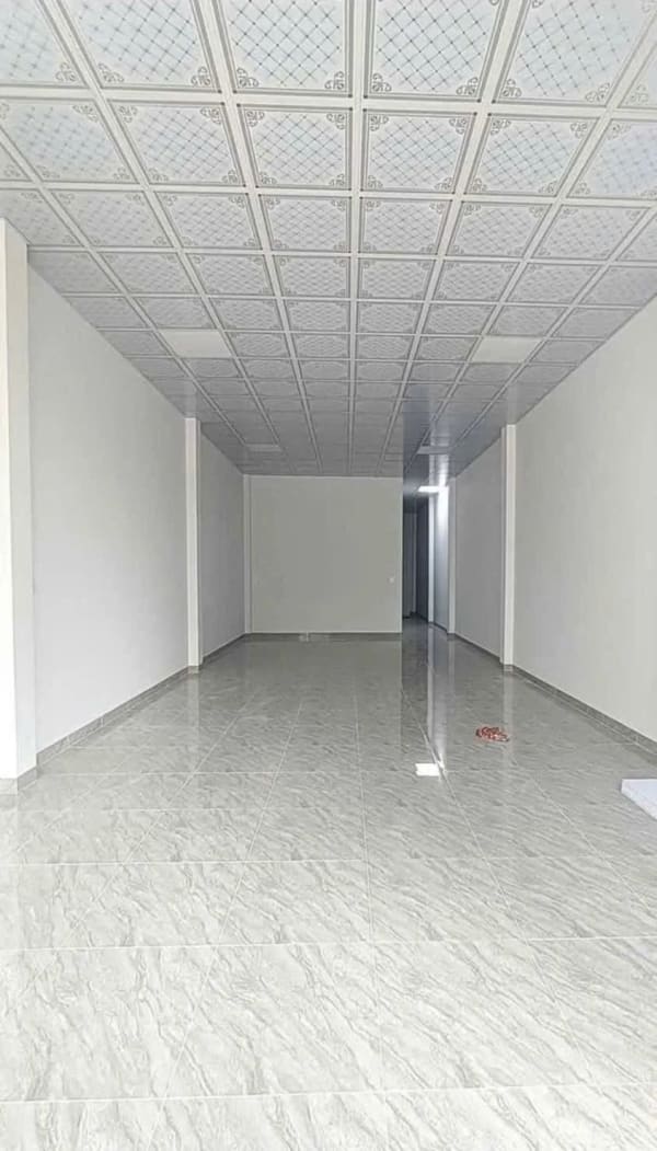 Cho thuê nhà trệt KDC Phú An, Bùi Quang Trinh - 100m² - 7.5 Triệu
